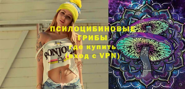 молекула духа Балахна