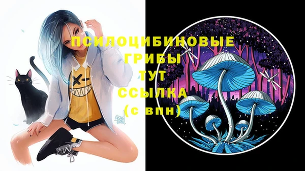 молекула духа Балахна