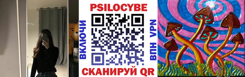 где купить наркоту  Черняховск  Галлюциногенные грибы прущие грибы 